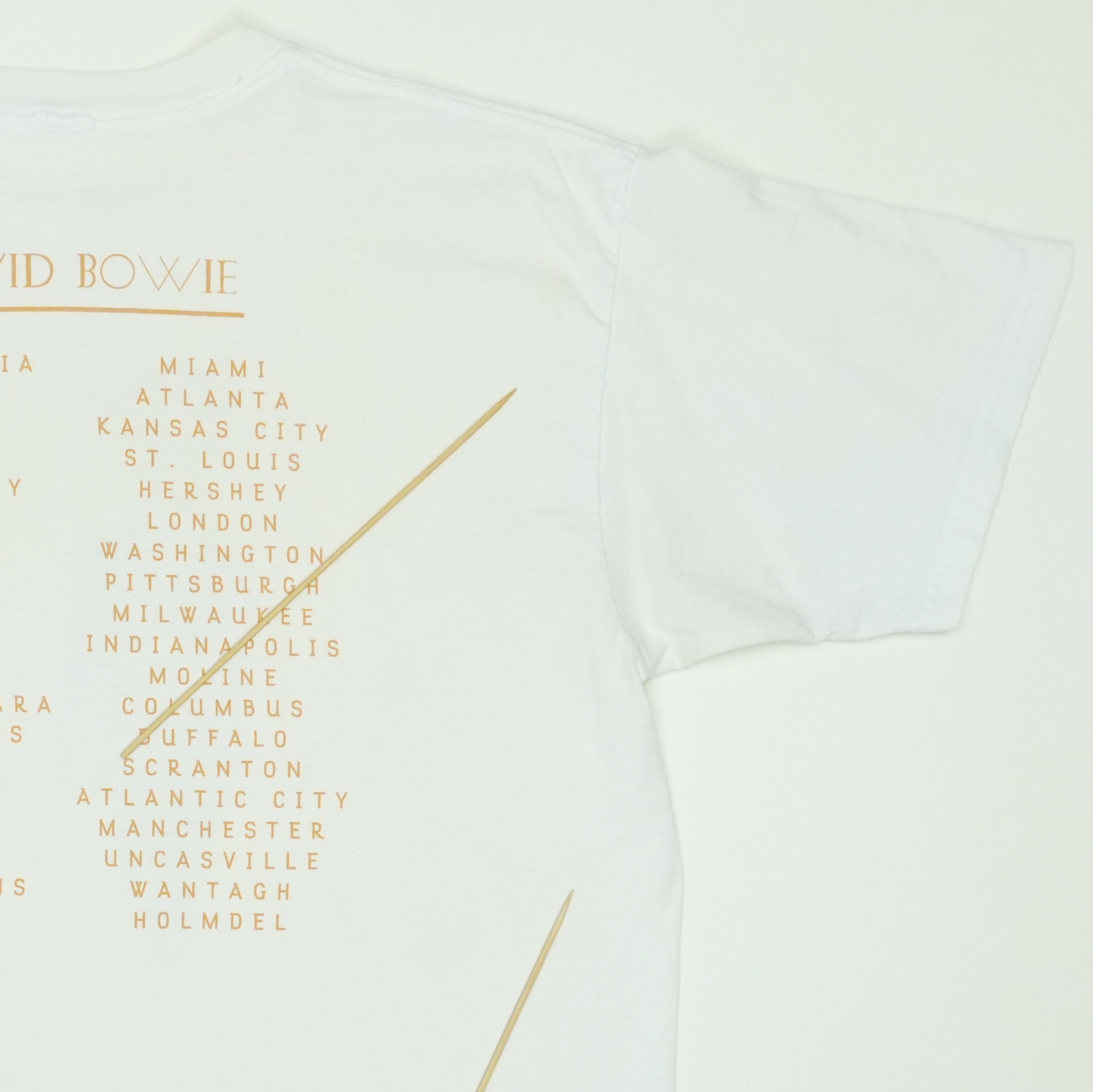 2003 David Bowie Reality Tour Shirt | Authentic Vintage Tee – WyCo