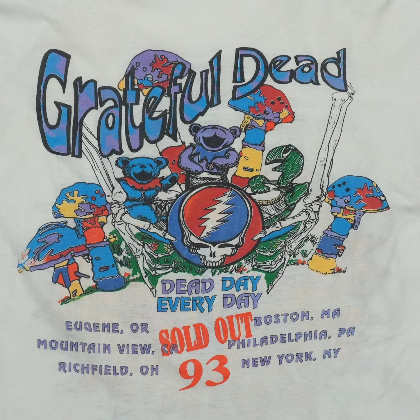 1993 Grateful Dead Summer Tour Shirt
