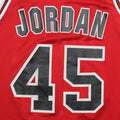 1995 Chicago Bulls Michael Jordan Champion Jersey