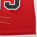 1995 Chicago Bulls Michael Jordan Champion Jersey