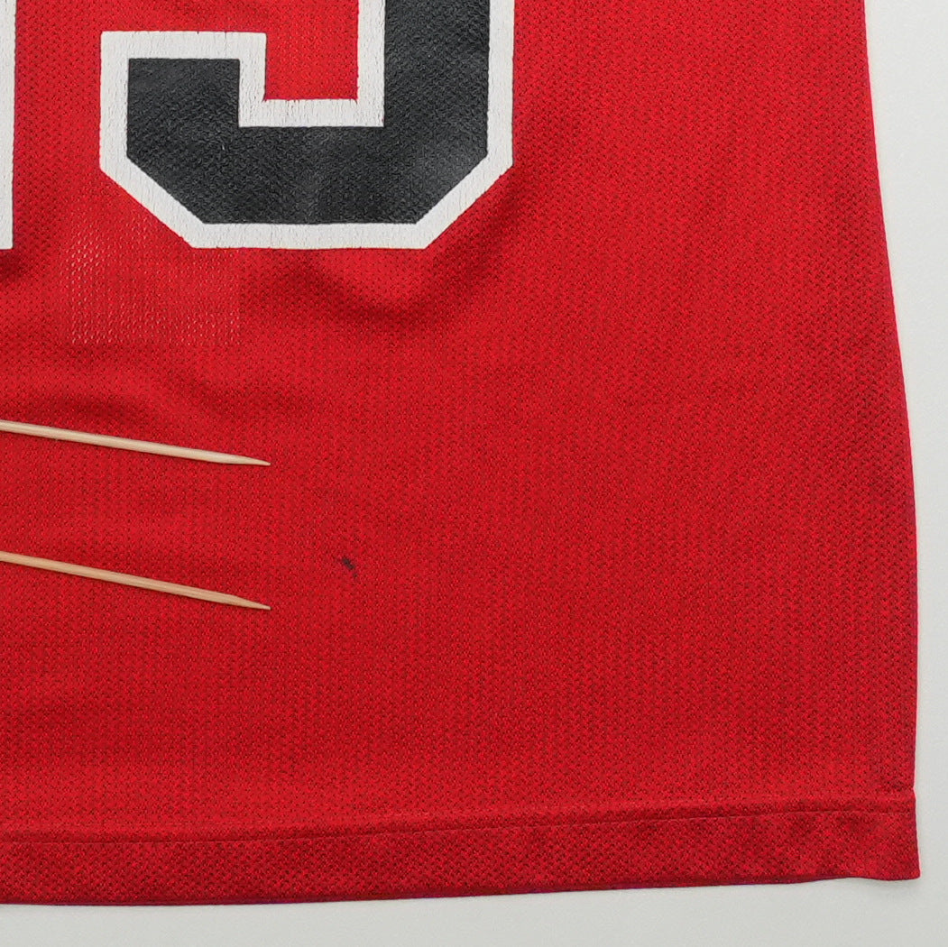 1995 Chicago Bulls Michael Jordan Champion Jersey