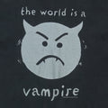 1996 Smashing Pumpkins Infinite Sadness Tour Shirt Detail 1