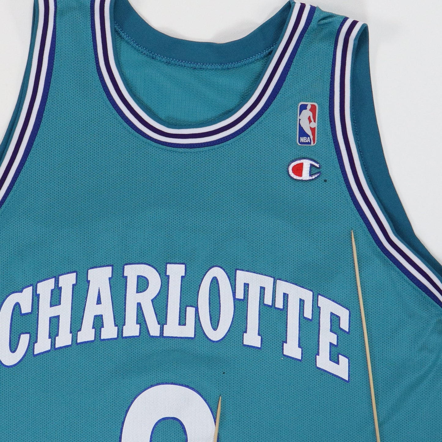 Wyco Vintage 1990s Larry Johnson Charlotte Hornets Basketball Jersey