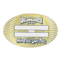 1994 Lollapalooza Backstage Pass