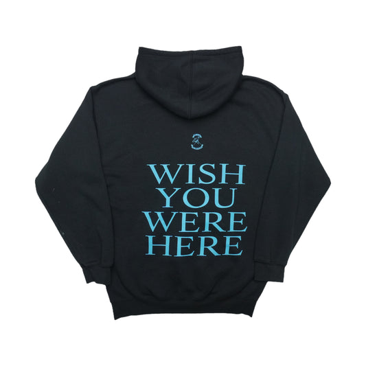 2001 Pink Floyd Wish You Were Here Hoodie Back