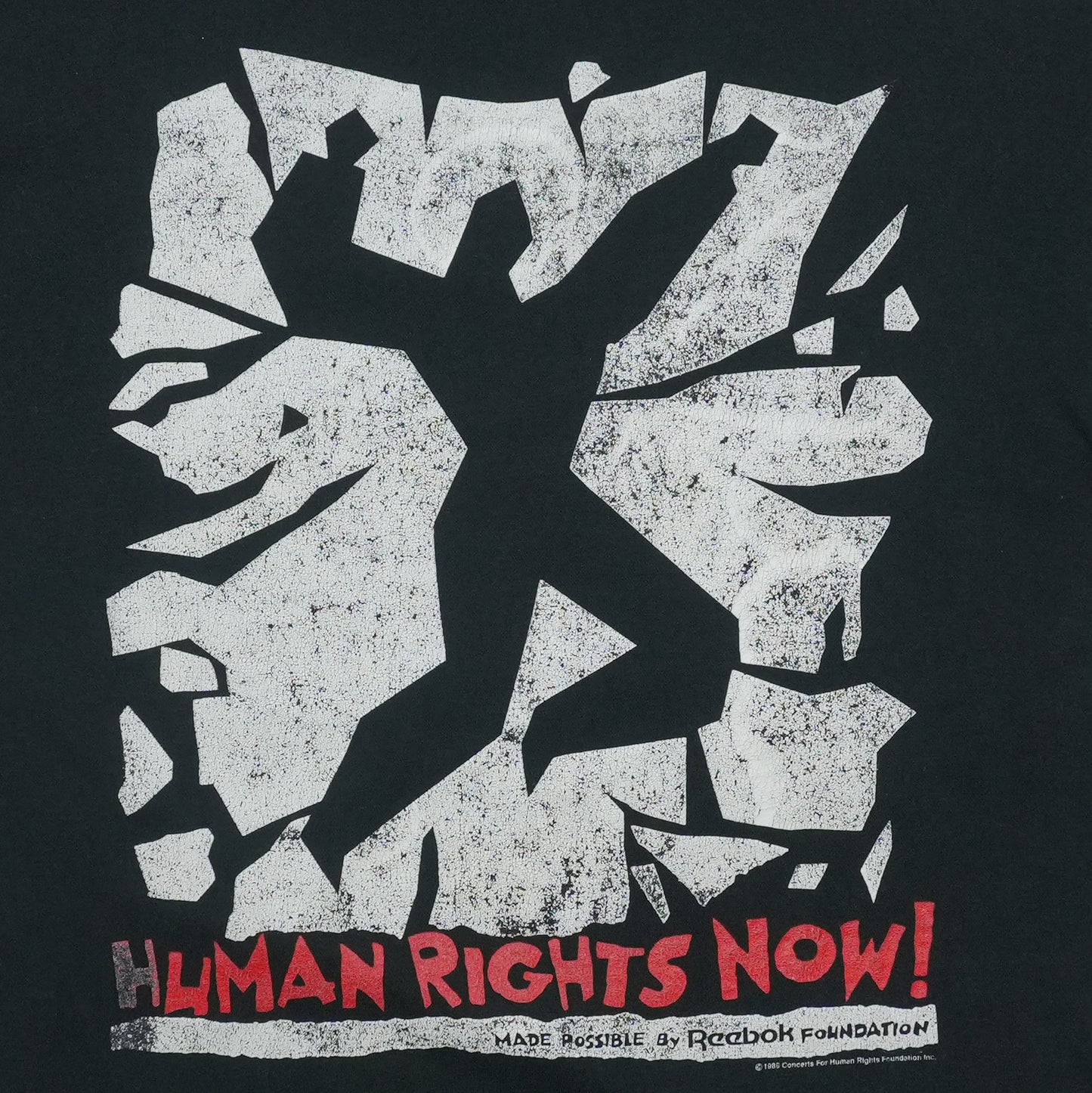 1988 Human Rights Now Amnesty International World Tour Shirt Front Detail 1