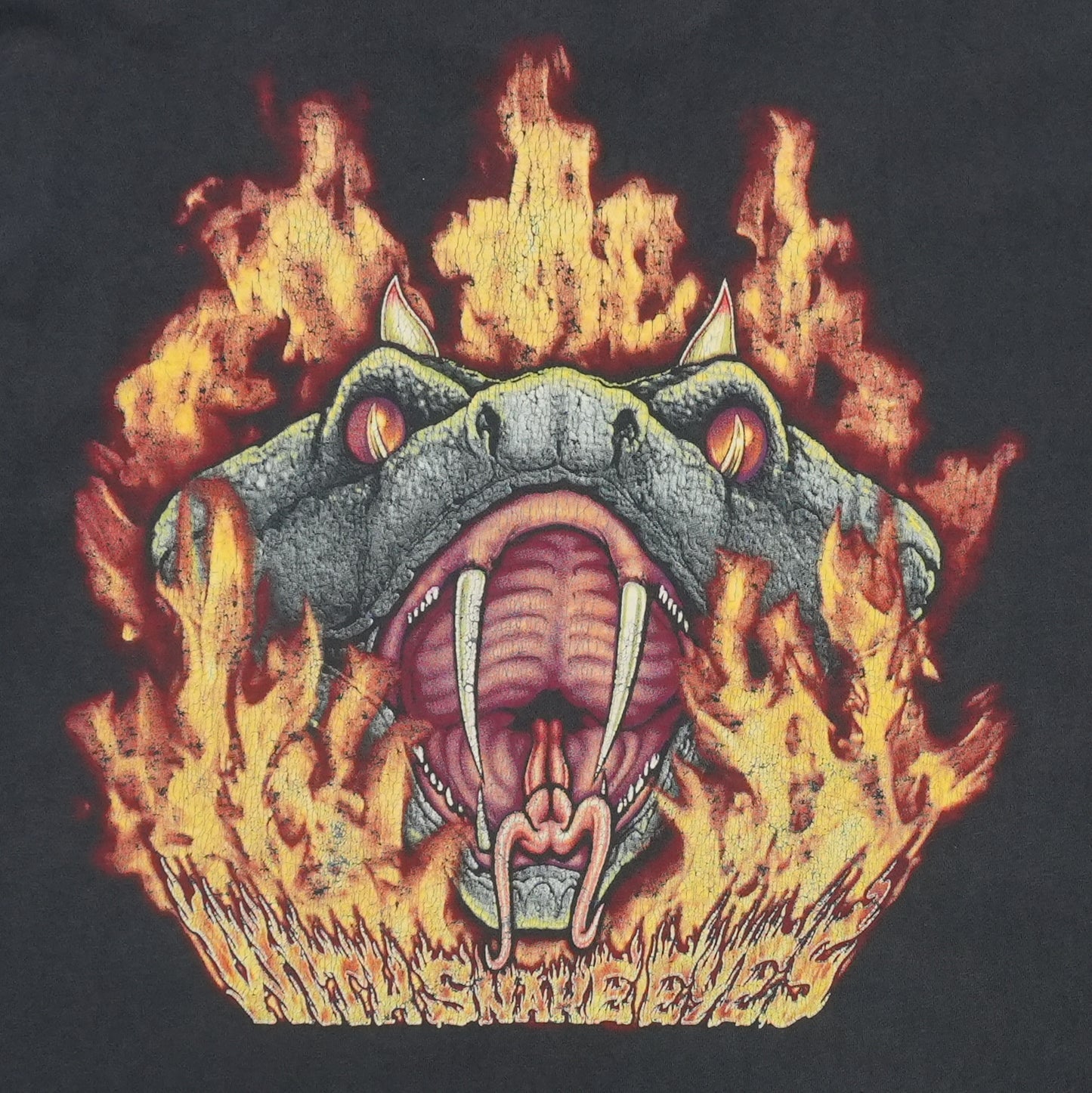1994 Pantera Shirt Back Detail 3