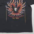 1994 Harley Davidson Billings Montana Shirt Front Detail 2