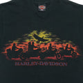 1990s Harley Davidson Sunset Silhouette Eagle Riders ShirtFront Graphic