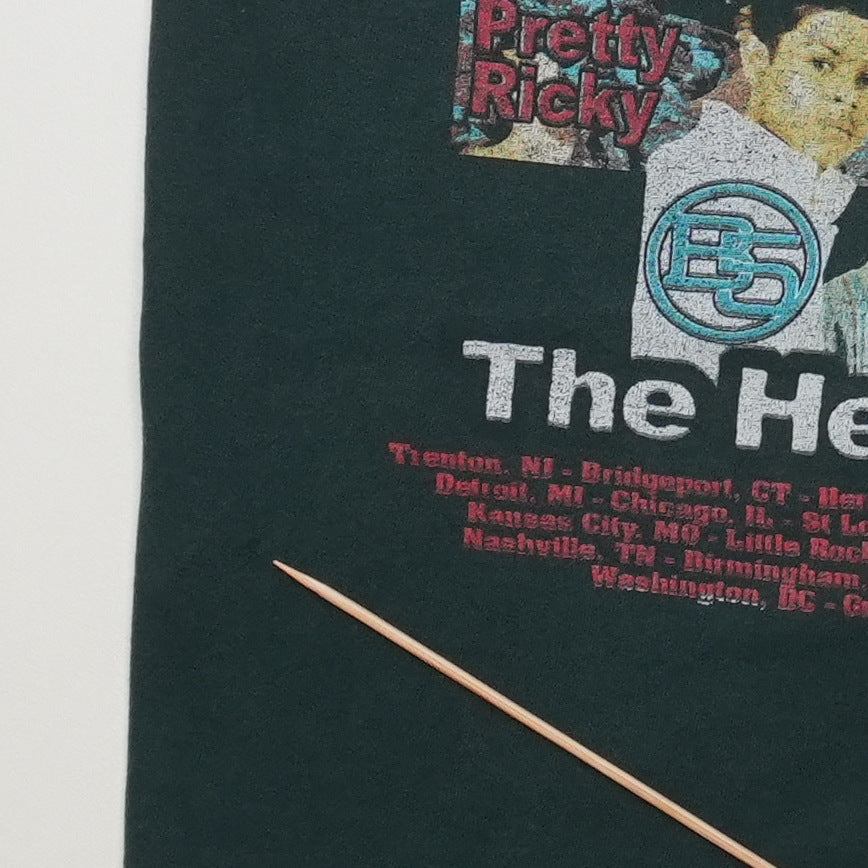 2005 Bow Wow Scream Tour IV Shirt Back Detail 2