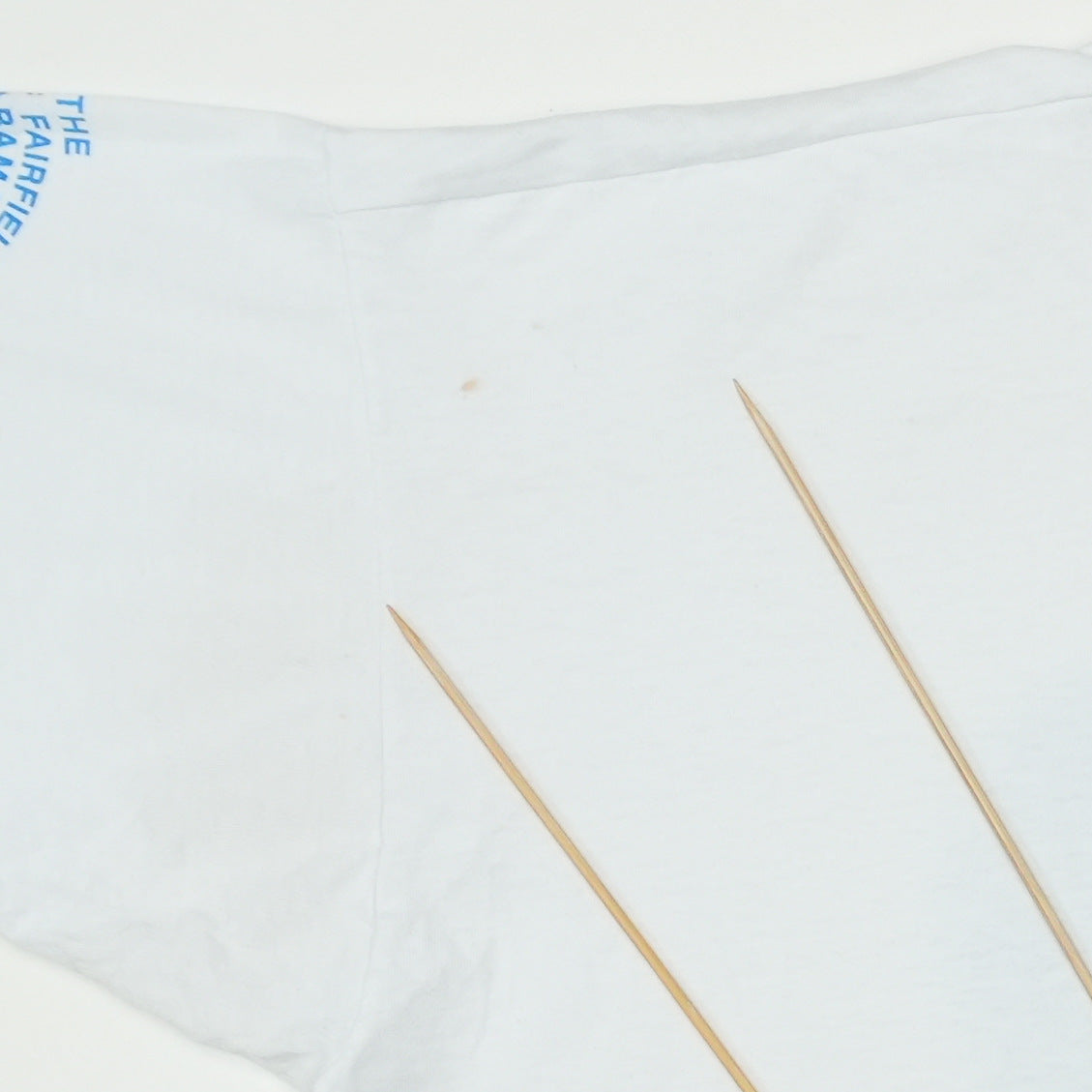 1990s DARE Lion Graduate Shirt Detail 4