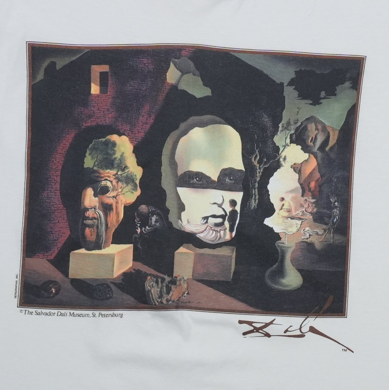 1990s Salvador Dali Surrealist Art Shirt | WyCo Vintage