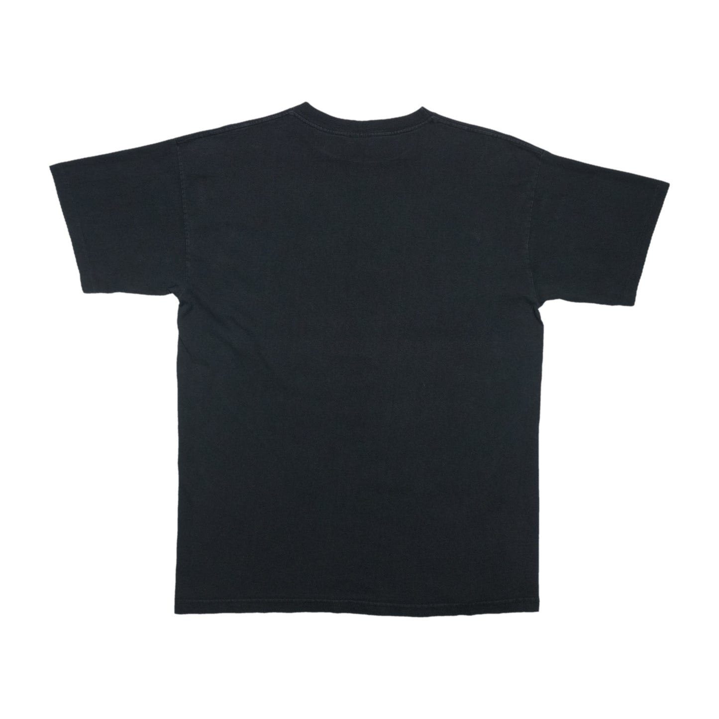 1990s Shania Twain Portrait Shirt Back