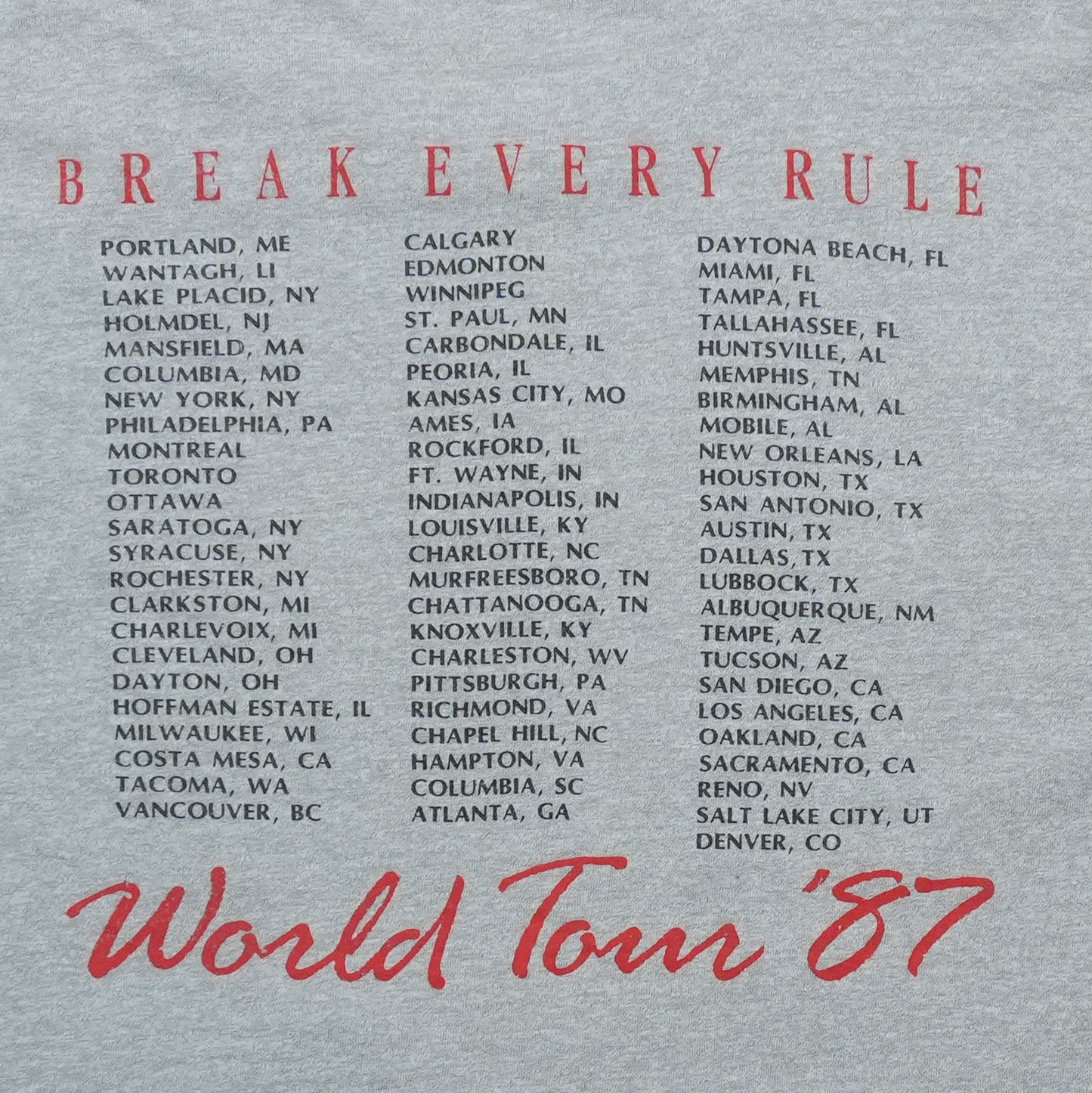 1987 Tina Turner Break Every Rule World Tour Shirt Detail