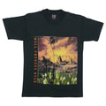 1994 Eagles Hell Freezes Over Tour Shirt