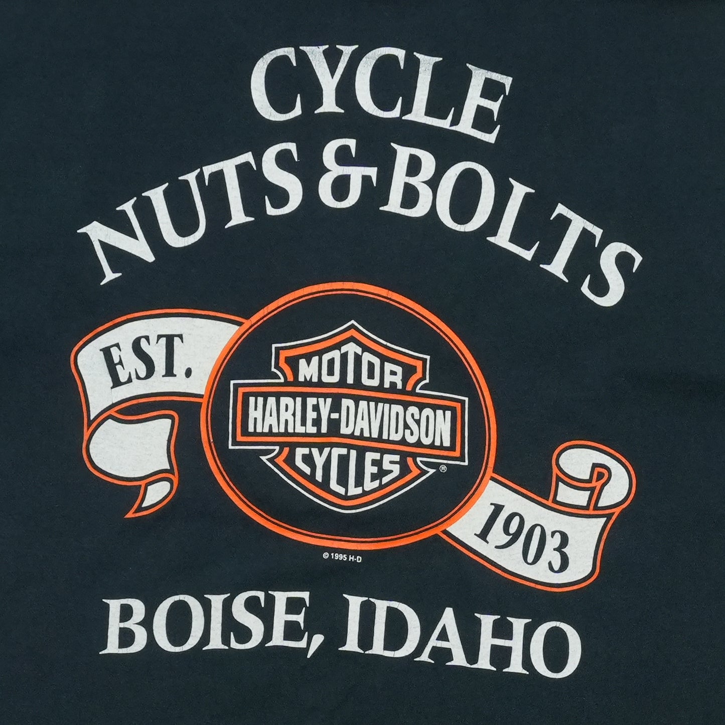 1990s Harley Davidson Cycle Nuts Boise Idaho Shirt Back Detail 2