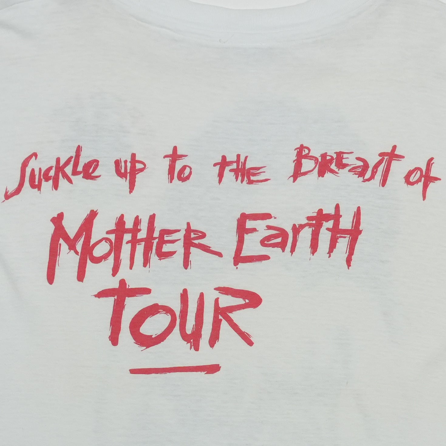 Red Hot Chili Peppers MOTHER EARTH Tシャツ 1990 Red Hot Chili Peppers Mother Earth Tour Shirt | WyCo Vintage