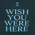 1996 Pink Floyd Wish You Were Here Shirt Back Detail 1