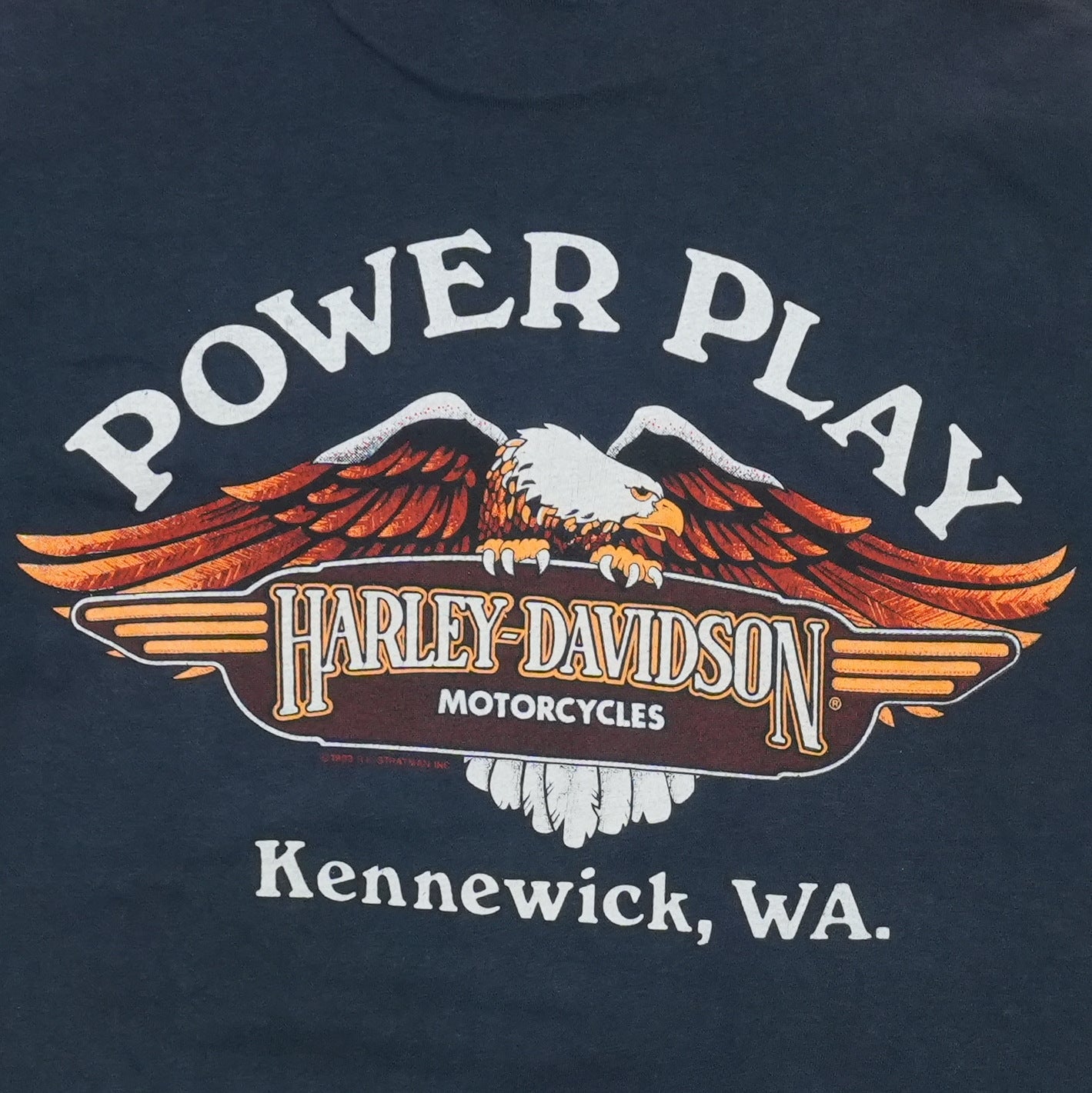 1989 Harley Davidson Thunder In The Rockies Shirt Back Detail 1