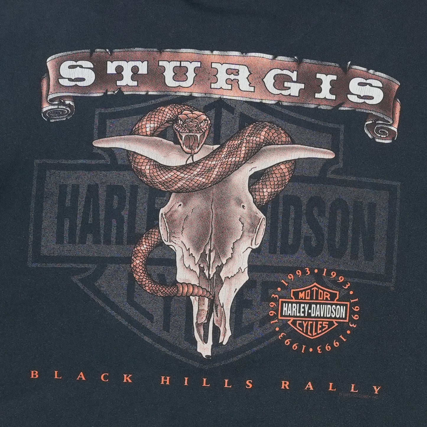 1993 Harley Davidson Sturgis Black Hills Shirt Back Detail 1