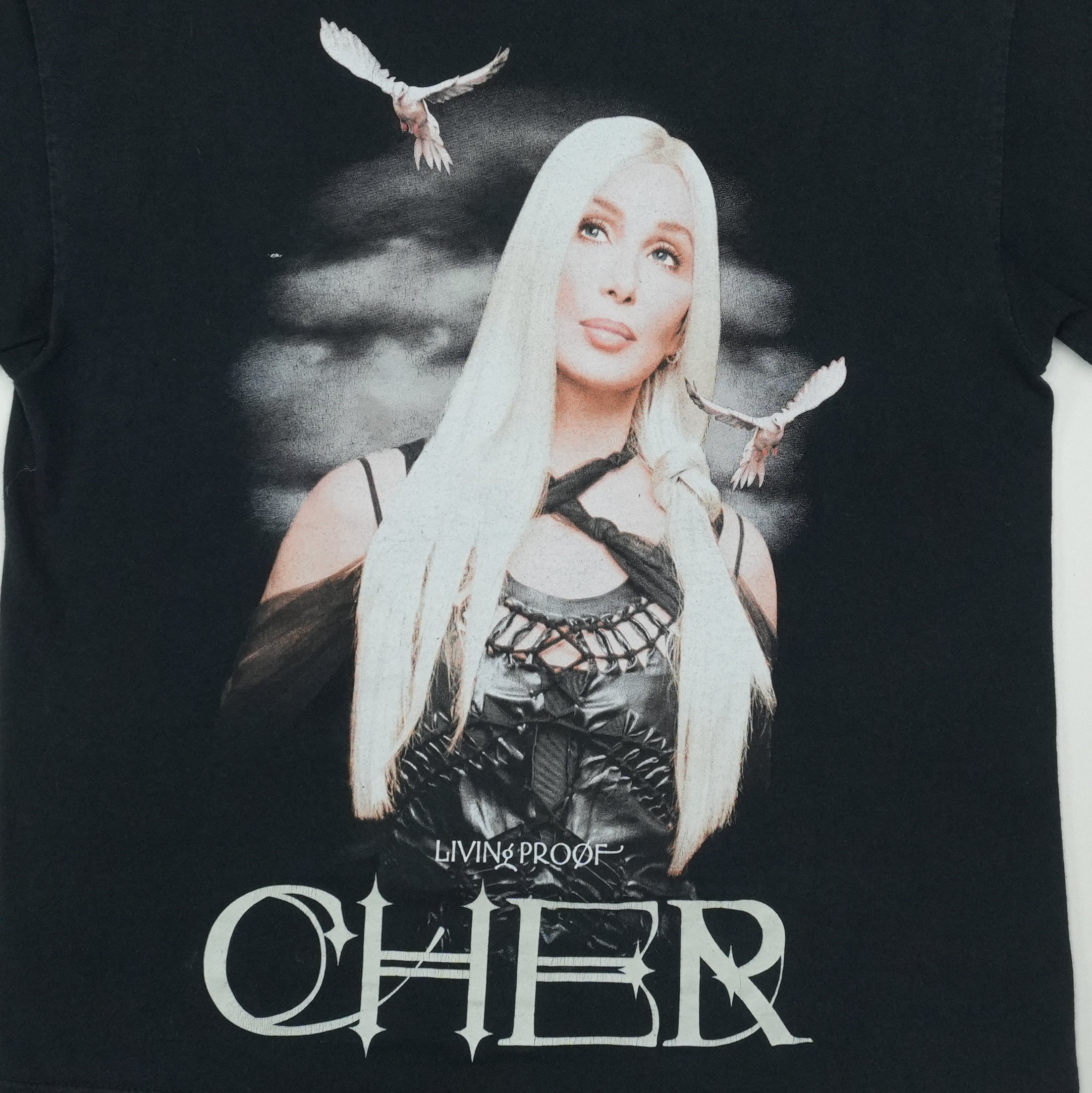 2003 Cher Living Proof Farewell Tour Shirt | WyCo Vintage