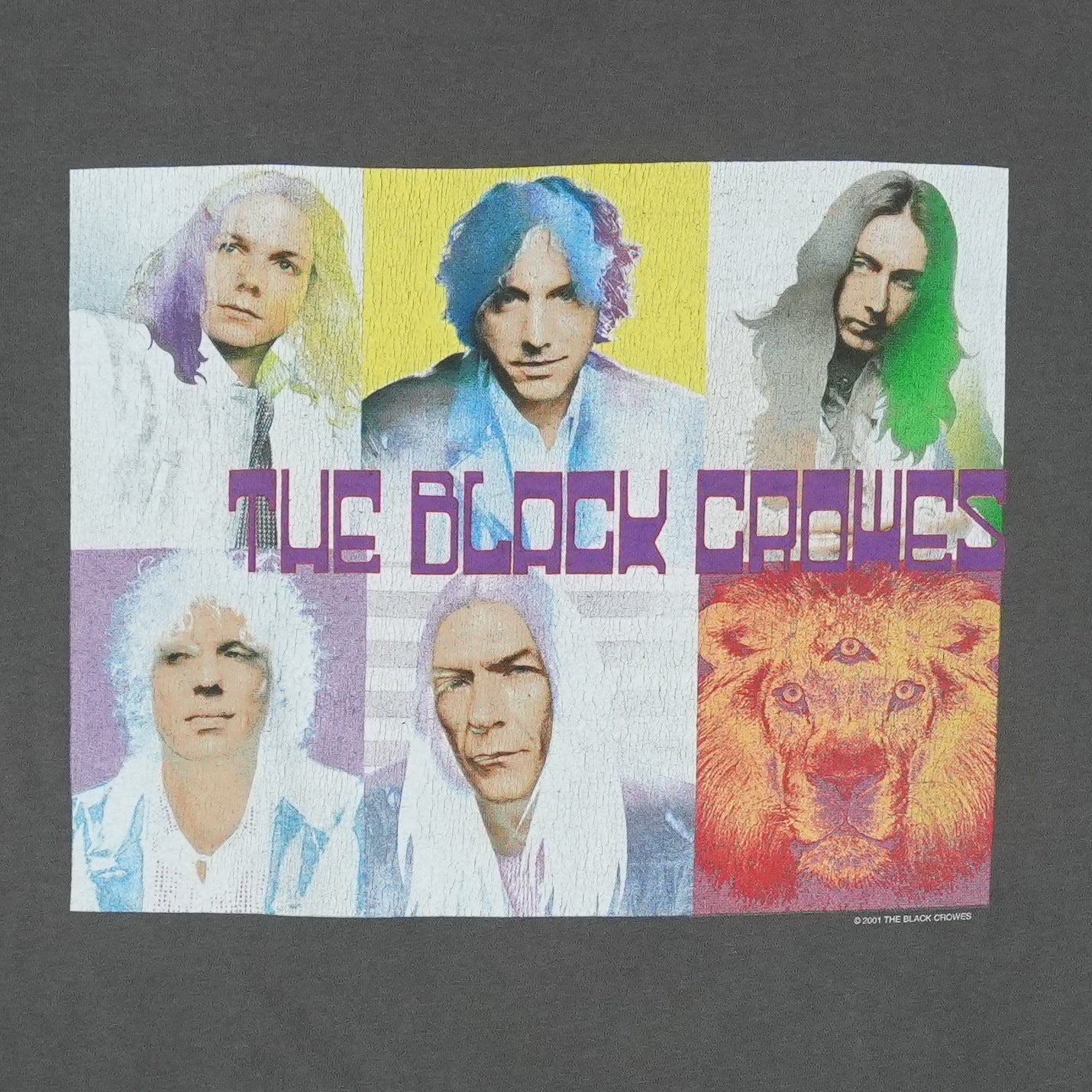 2001 The Black Crowes Lions Shirt Detail 2