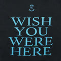 2001 Pink Floyd Wish You Were Here Hoodie Back Detail 1