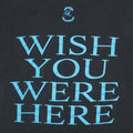 1992 Pink Floyd Wish You Were Here Shirt