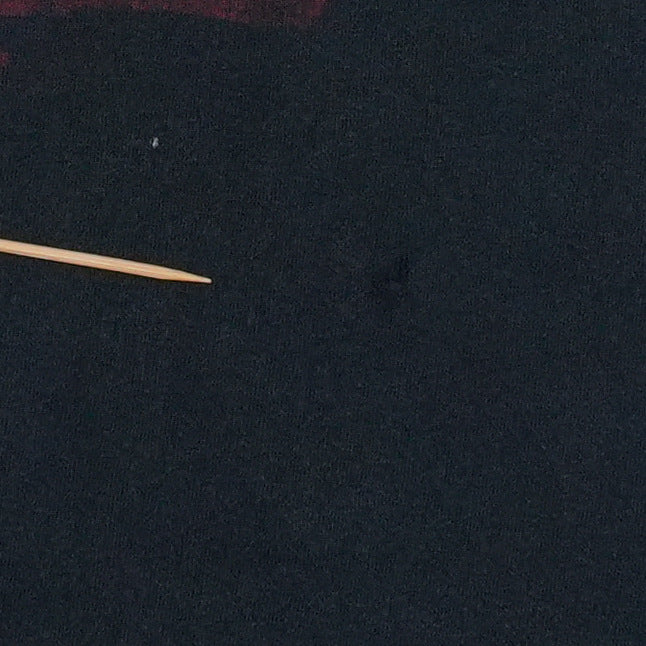 1998 Ozzfest Ozzy Osbourne Shirt Detail 3