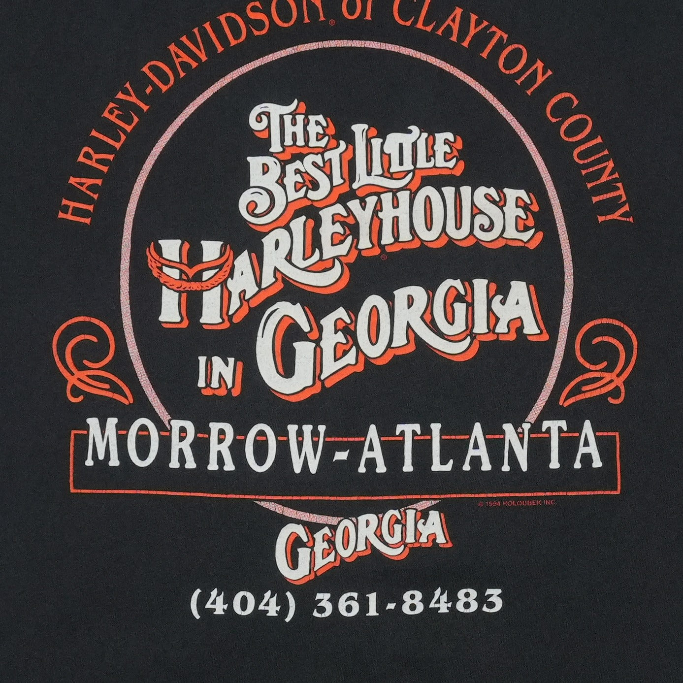 1994 Harley Davidson Rider Mountain Landscape ShirtBack Graphic