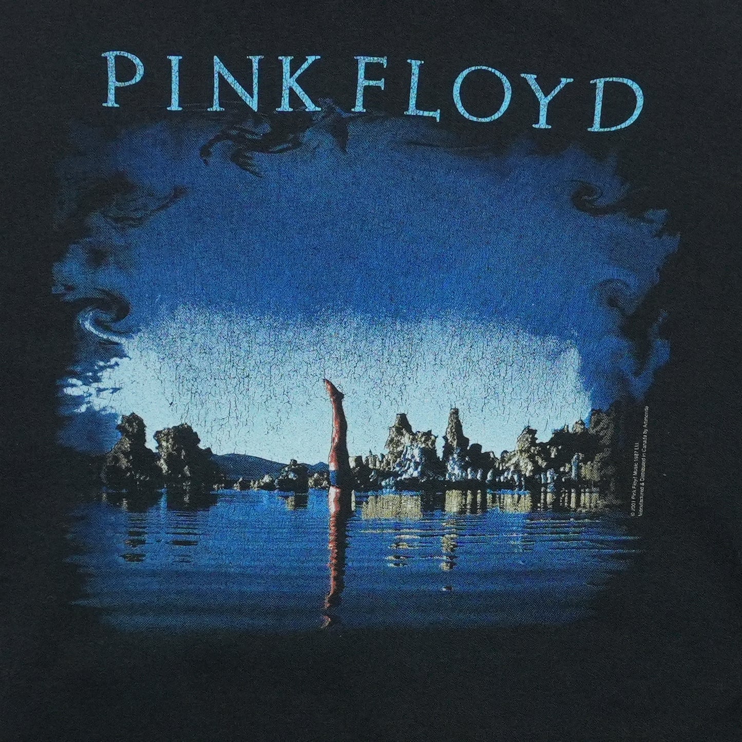 2001 Pink Floyd Wish You Were Here Hoodie Front Detail 1
