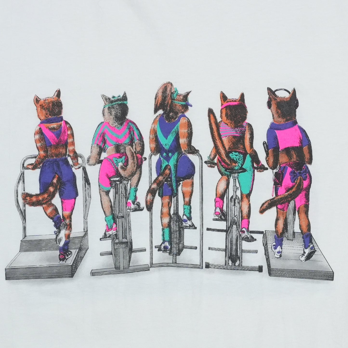 1990s Cat Cycling Shirt Front Detail 1