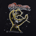 1978 Aerosmith In Concert American Tour Shirt