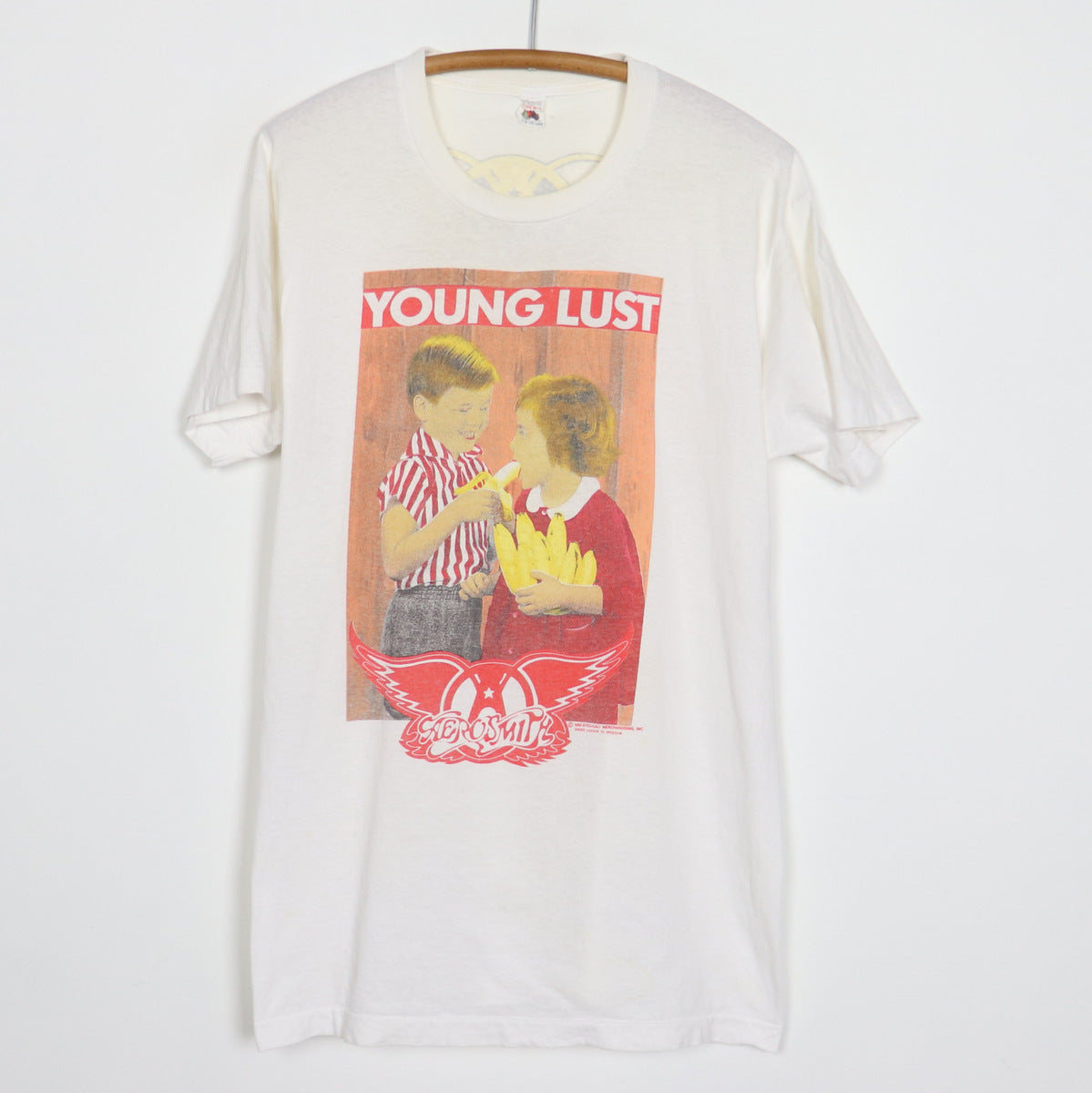 ☆ ☆ Slim Pointel T-shirt 1989 Aerosmith Young Lust Pump Shirt – WyCo Vintage