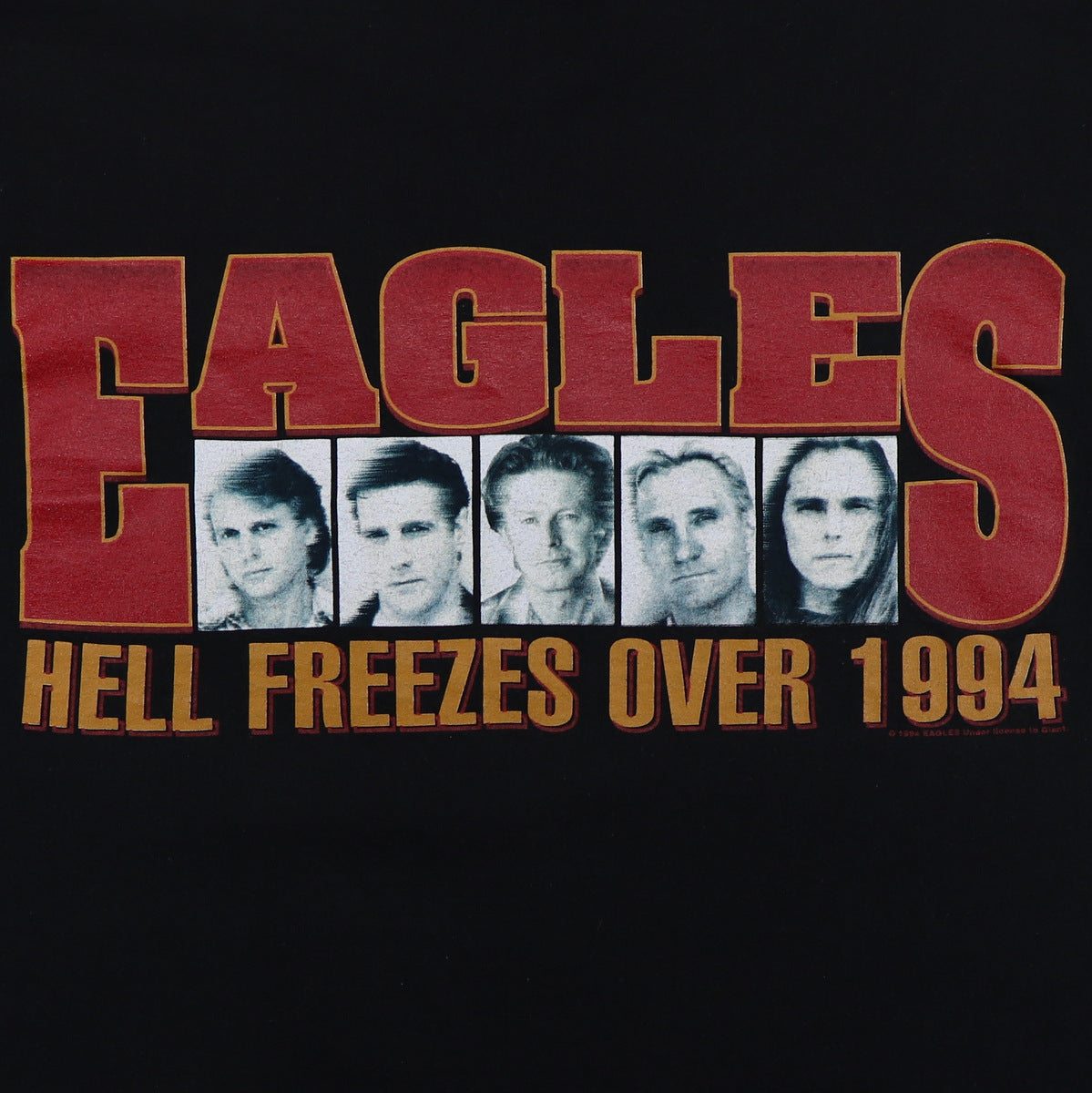 Original vintage 1994 Eagles Hell Freezes Over Tour Shirt