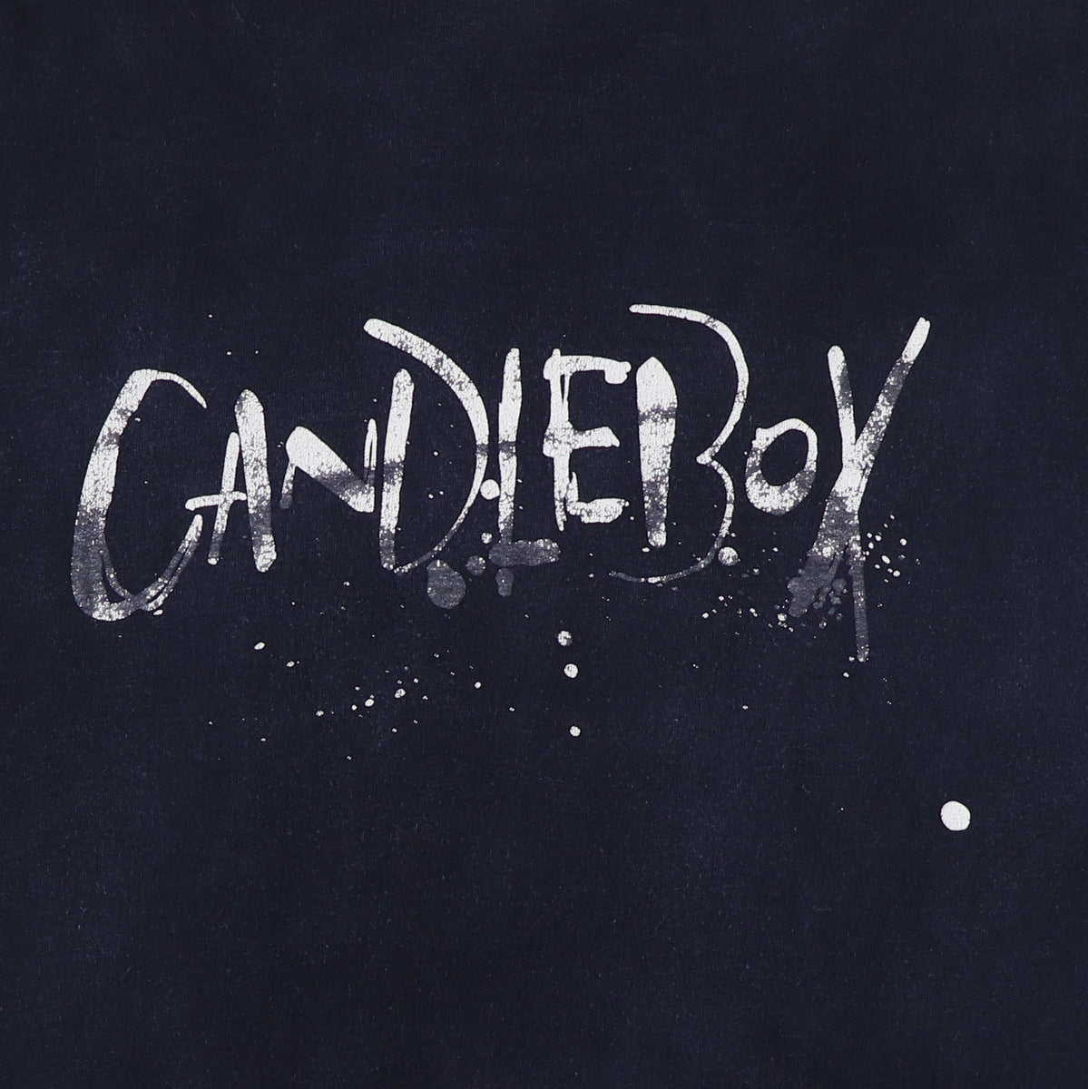 CANDLEBOX You XL ヴィンテージ Tシャツ キャンドルボックス CANDLEBOX You XL ヴィンテージ Tシャツ キャンドルボックス