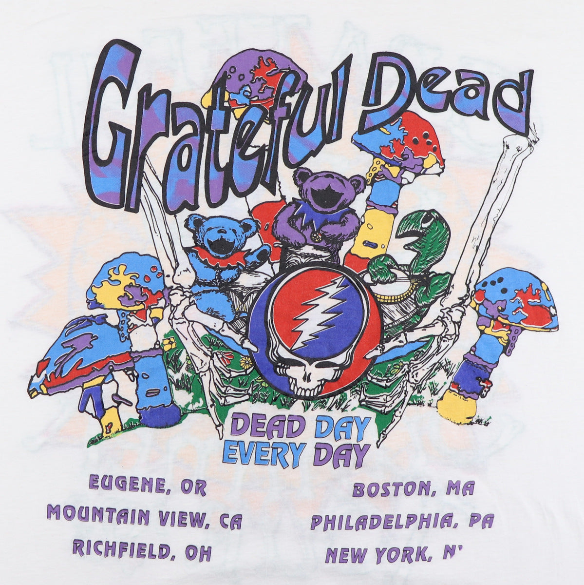 1993 Grateful Dead Summer Tour Shirt | Authentic Vintage Tee