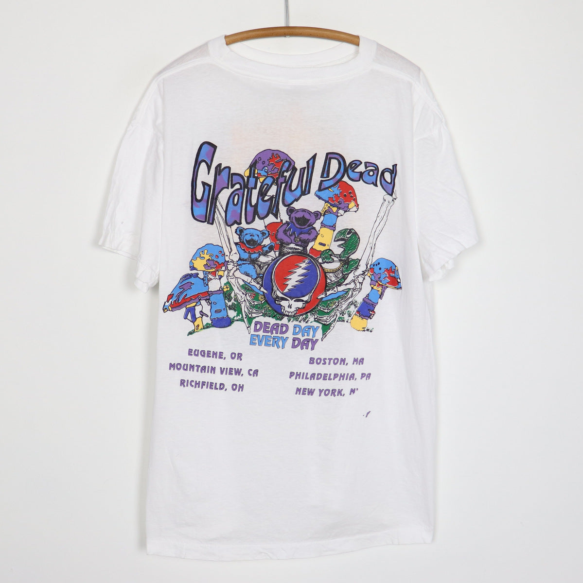 1993 Grateful Dead Summer Tour Shirt | Authentic Vintage Tee