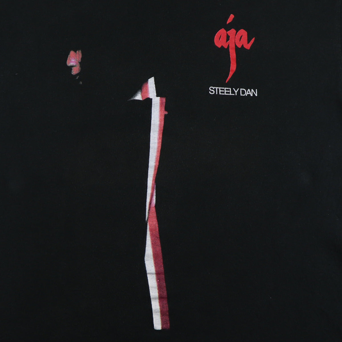 1993 Steely Dan Aja Tour Shirt | Authentic Vintage Tee – WyCo Vintage