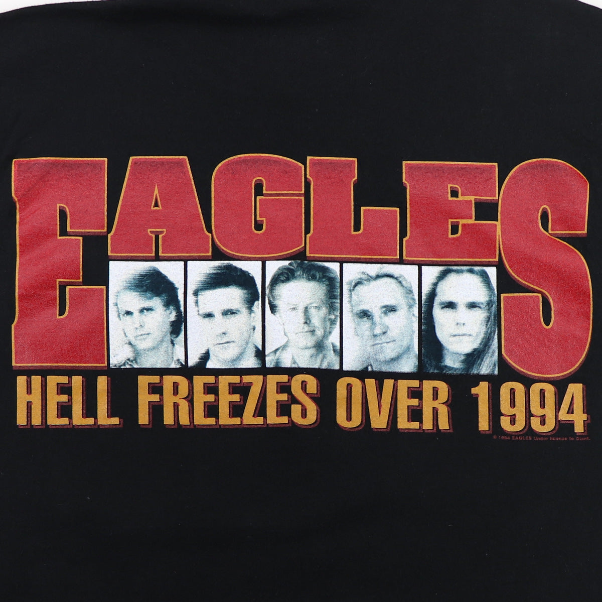 1994 Eagles Hell Freezes Over Tour Shirt | Authentic Vintage Tee
