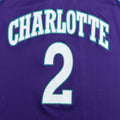 1990s Larry Johnson Charlotte Hornets Basketball Jersey