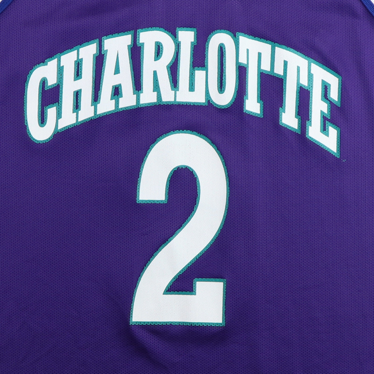 1990s Larry Johnson Charlotte Hornets Basketball Jersey