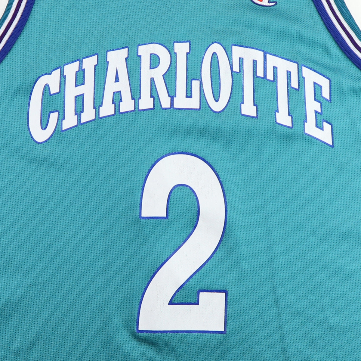 Wyco Vintage 1990s Larry Johnson Charlotte Hornets Basketball Jersey