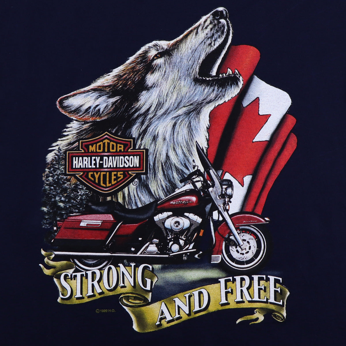 1999 Harley Davidson Strong And Free Shirt