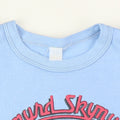 1976 Lynyrd Skynyrd America Tour Shirt