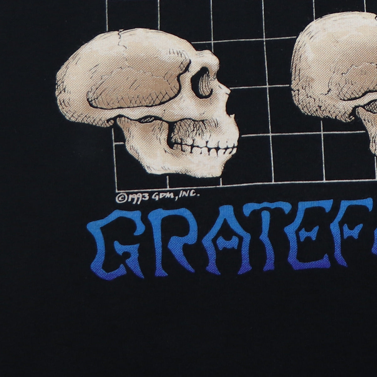 1993 Grateful Dead What A Long Strange Trip It's Been Shirt