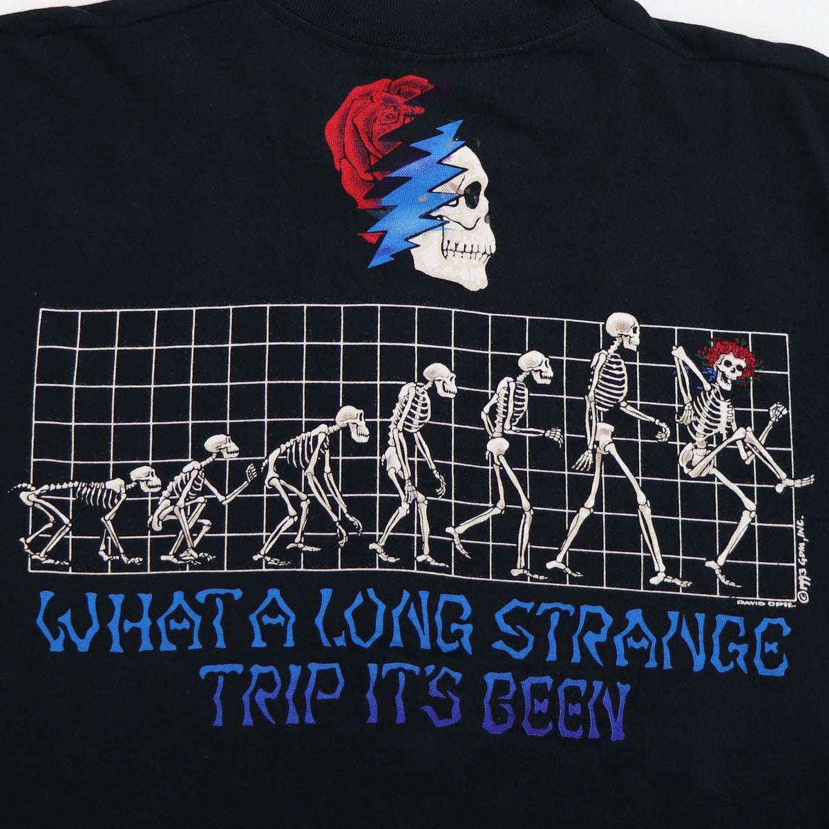 1993 Grateful Dead What A Long Strange Trip It