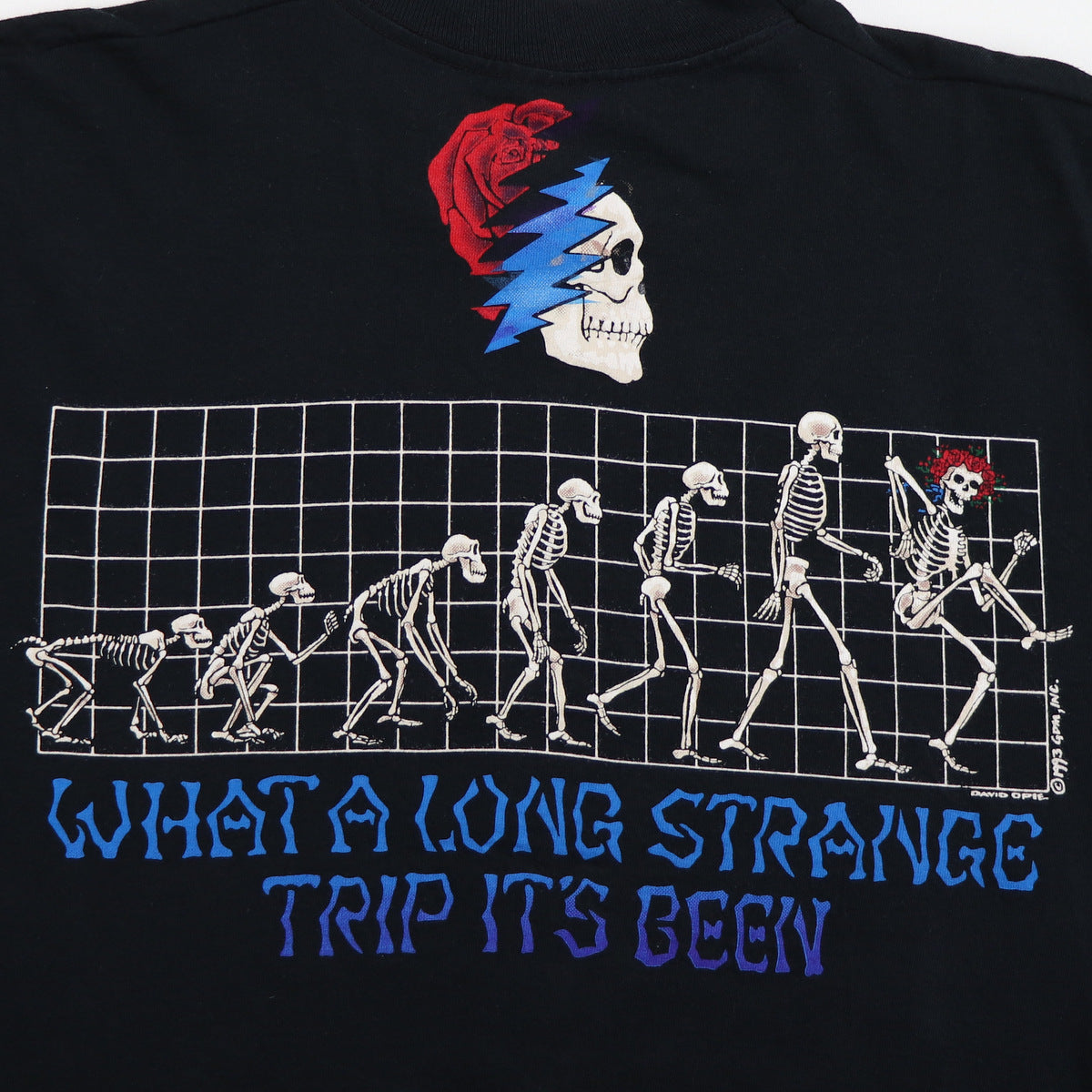 1993 Grateful Dead What A Long Strange Trip It's Been Shirt