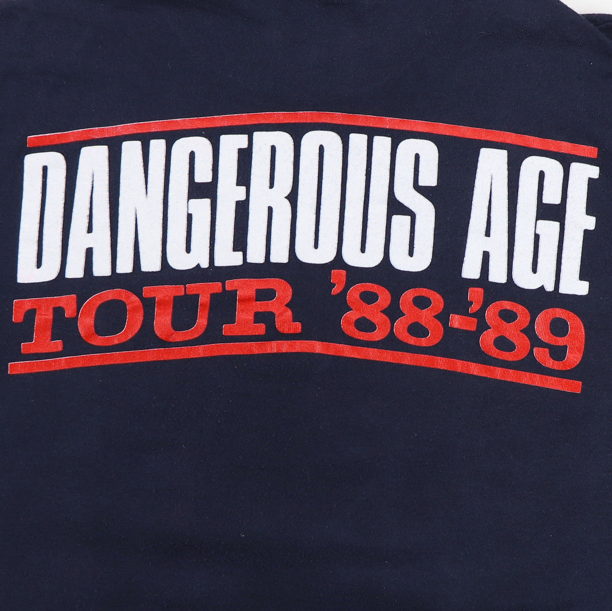 1988 Bad Company Dangerous Age Tour Shirt | WyCo Vintage