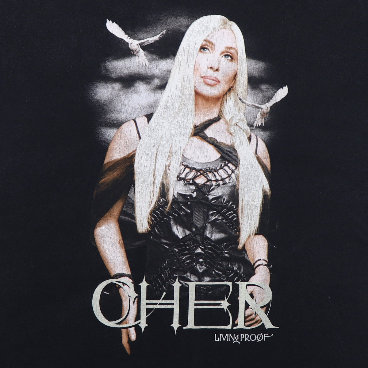 激レア当時物 CHER LIVIN' PROOF Tシャツ ブラック XL 2002 Cher Living Proof Tour Shirt | Authentic Vintage Tee – WyCo